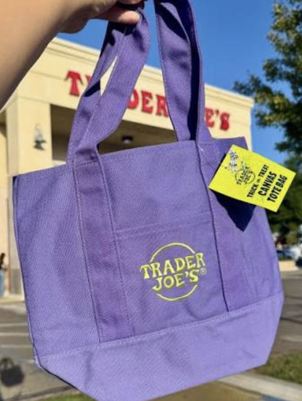 Trader Joe's Trick-or-Treat Purple Mini Canvas Tote Bag